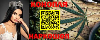 Альфа ПВП Краснодар