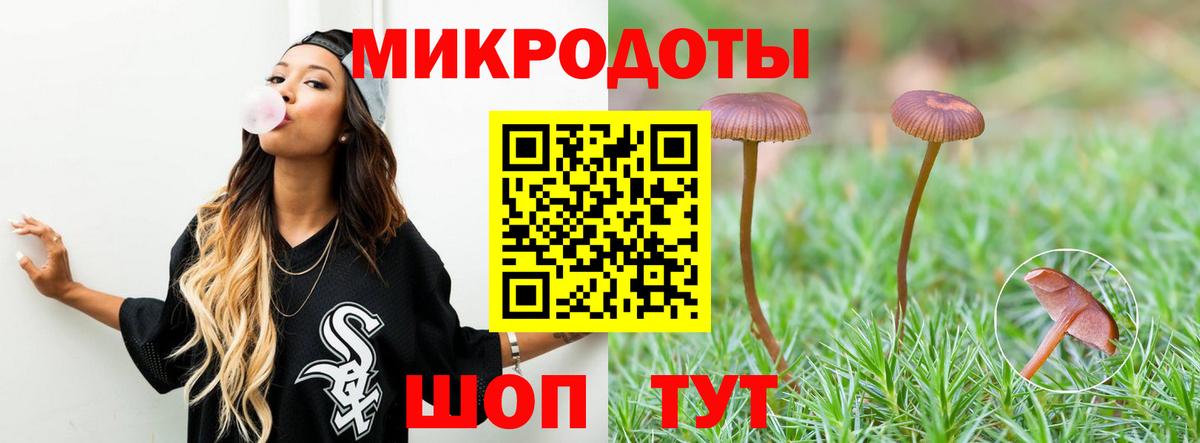 Псилоцибиновые грибы ЛСД Елабуга
